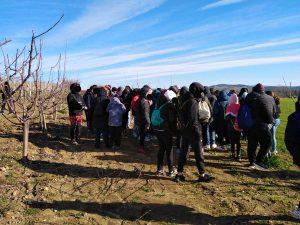 Seconda tappa delle visite didattiche dell'Iiss Cardarelli alle aziende