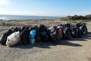 "Gli amici del mare" in azione