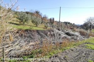 Montefiascone - L'incendio di sterpaglie in località Vallalta