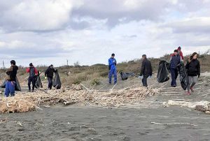 Montalto di Castro - La pulizia della spiaggia