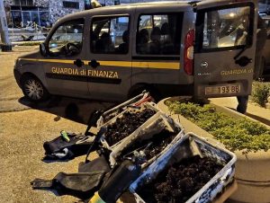 Civitavecchia - Guardia di finanza - Sequestrati ricci di mare