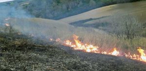 Sterpaglie in fiamme alla Civita di Tarquinia