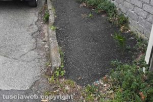 Viterbo - Incuria in via Santa Maria in Gradi