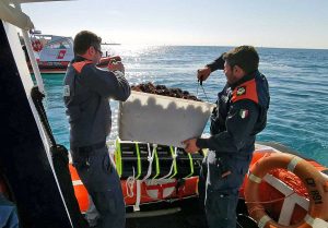 Civitavecchia - La guardia costiera rigetta in mare i ricci sequestrati