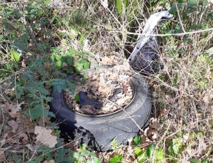 Montalto di Castro - Pneumatici nella Pineta del Palombaro