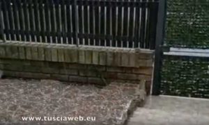 Grandinata e vento forte a Capranica