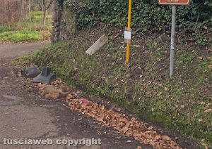 Viterbo - Volpe morta in strada Fagiano