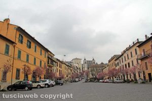 San Martino al Cimino