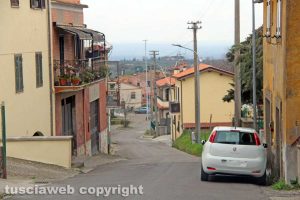 Tobia