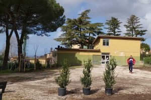 Nuovi alberi alla villa di Vetralla