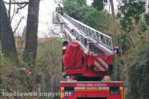 Montefiascone - Albero rischia di precipitare sulla strada