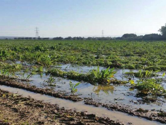 I danni dell'alluvione di novembre 2019 sul litorale della Tuscia
