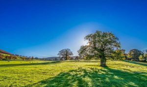Un terreno in campagna