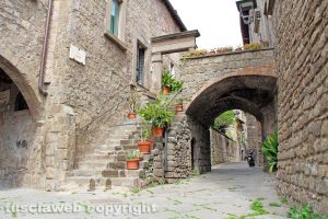 Viterbo - Quartiere San Pellegrino