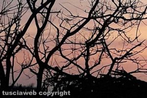 Viterbo - Un tramonto