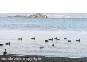 Capodimonte - Il lago di Bolsena
