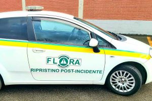 Flora Multiservice