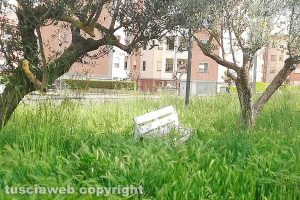 Viterbo - Incuria al parco delle Querce