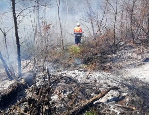 Volontari in azione per l'incendio