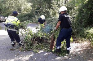 Tarquinia - L'intervento dei volontari aeopc, insieme ai carabinieri, per i rami caduti