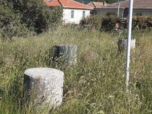 Orte - Erbacce al parco Paradiso appena riaperto