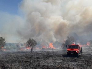 Bosco in fiamme - L'intervento dei vigili del fuoco - Foto di repertorio
