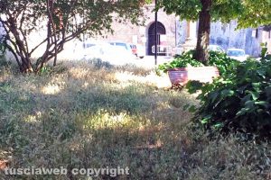 Viterbo - Incuria nel giardino di via del Paradiso
