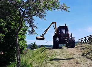 Orte - Cura dei parchi e degli spazi verdi