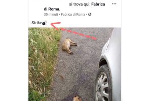 Il post dell'utente Facebook