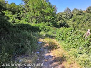 Il sentiero per le cascate all'Acquarossa