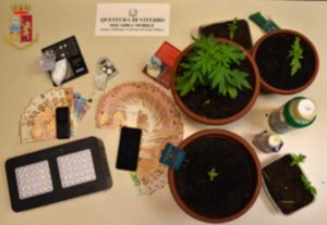 Polizia - La droga e i soldi sequestrati dalla squadra mobile