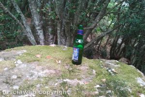 Viterbo - Palanzana - Una bottiglia di birra