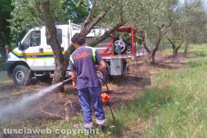 Montefiascone - Incendio di sterpaglie sul lungolago