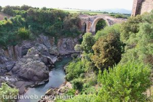 Montalto di Castro - Il castello di Vulci