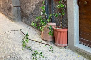 Viterbo - Atto vandalico in via del Ganfione