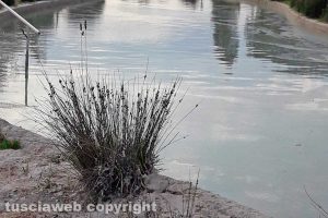 Viterbo - Il parco del Bullicame