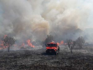 Bosco in fiamme - Intervento dei vigili del fuoco - Foto di repertorio
