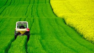 Agricoltura (foto di repertorio)