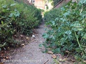 Erba alta tra via Palmanova a via De Gasperi