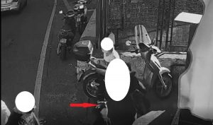 Terni - Pitbull si avventa contro una signora in fila dal tabaccaio