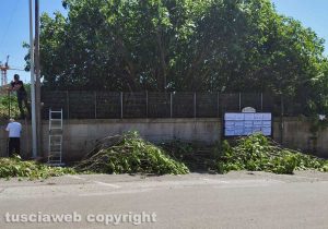 Orte - La pulizia dei parcheggi a corso Garibaldi