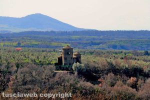 La riserva naturale Selva del Lamone