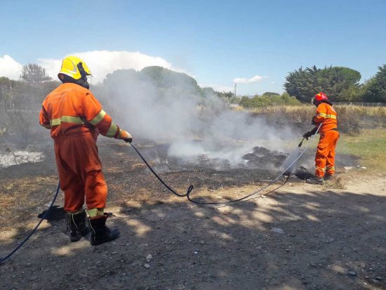 Tarquinia - I volontari Aeopc in azione