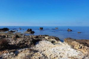 Civitavecchia - La Frasca