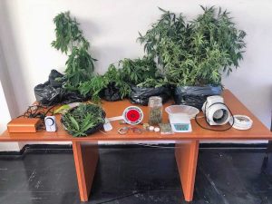 Orte - Piante di cannabis e centinaia di grammi di marijuana in casa - Il sequestro dei carabinieri