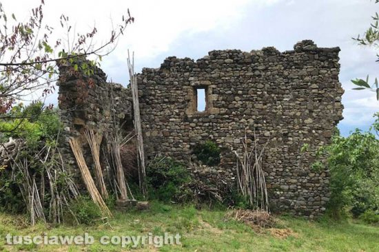 Viterbo - Il castello di Petrignano a Tobia