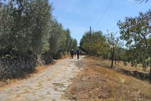 Via Francigena