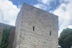 La torre di viale Capocci
