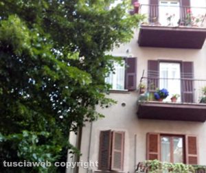 La pianta che cresce nei pressi della casa