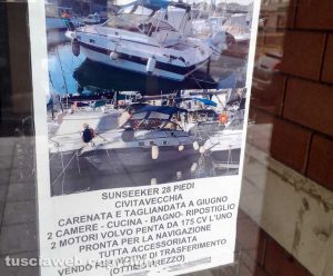 Viterbo - L'annuncio sulla vetrata del comune